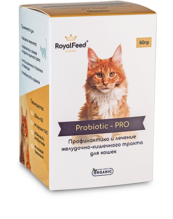 Пробиотики для кошек и котов